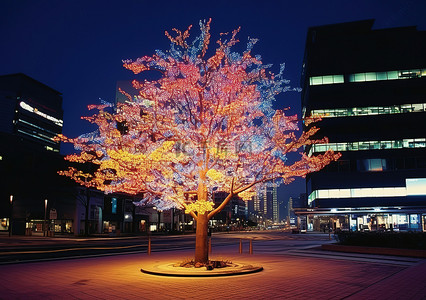 城市中一棵色彩缤纷的树