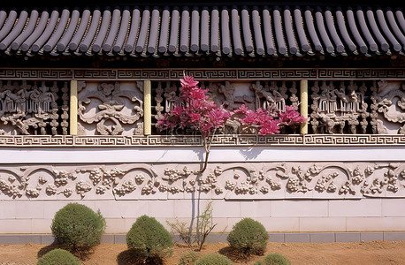 韩式建筑和花墙