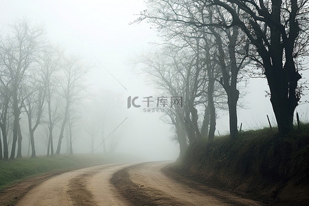 平坦的泥土路背景图片_一条雾中的土路，旁边有树木