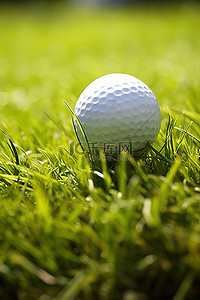 白色的球背景图片_一个白色的高尔夫球坐在草地上