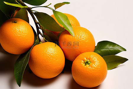 轴png背景图片_树枝上的橘子 免费 png 格式的橘子