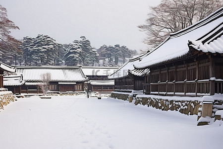 田野前的积雪覆盖的木制建筑