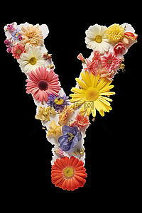 形成字母 y 的花朵图像