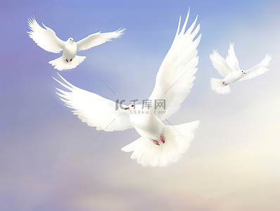 飞翔鸽子背景图片_五只飞翔的鸽子在白色的天空中漂浮