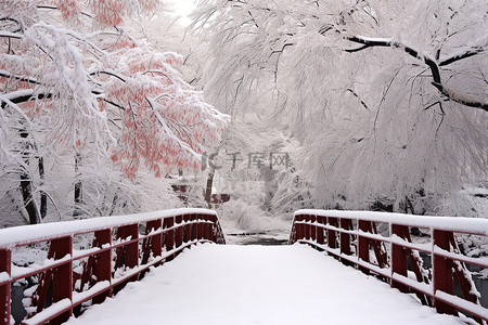 一座白色的桥，周围环绕着白雪覆盖的树木