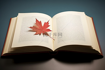一本打开的书，里面有日本叶子