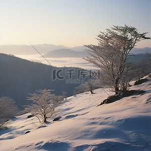 天气背景图片_日出在积雪覆盖的山丘上，背景中有一些树木
