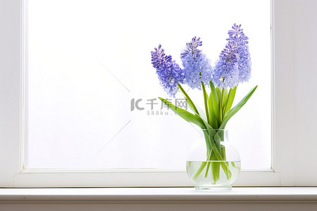 蓝色的花背景图片_窗前有一瓶蓝色的花