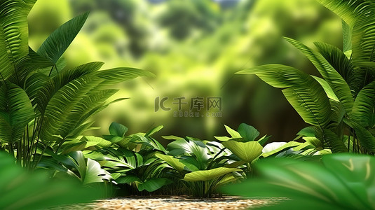 夏季热带自然背景下的 3D 绿色植物群是对生态和环境的永恒颂歌