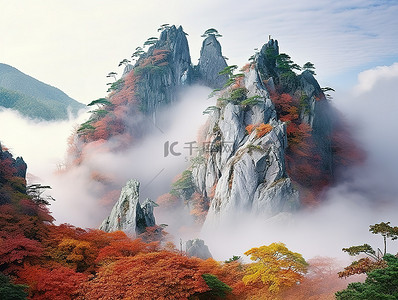 枫叶山背景图片_一座山在云层覆盖的树木之间突出