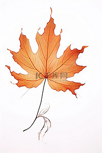 秋天落叶枫叶背景图片_白色空间中风中的一片叶子