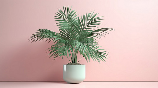 柔和背景中的孤立槟榔棕榈室内植物 3D 渲染，最小场景