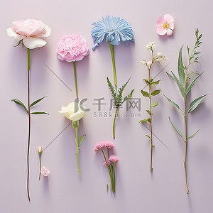 纸上显示了九种不同品种的花朵
