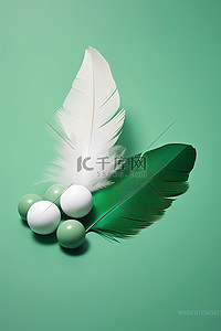 白的羽毛背景图片_白色表面上有两根绿色和白色的羽毛
