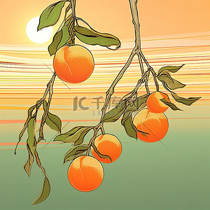 橘子垂下来