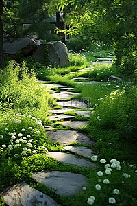 一条穿过花园的石路