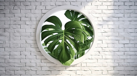蒙斯特拉植物叶子映衬在白色砖背景下，周围环绕着圆形窗户，令人惊叹的 3D 渲染