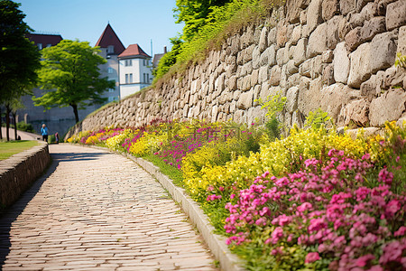 一条色彩缤纷的小路，花园沿着石墙边缘生长