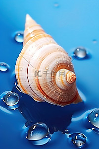 蓝色背景中坐在水滴上的贝壳