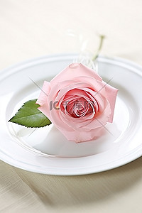 白盘上的粉红玫瑰