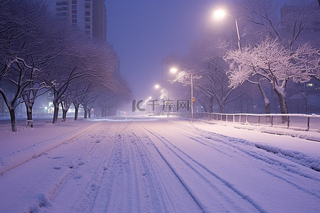 夜晚被雪覆盖的道路上的雪景