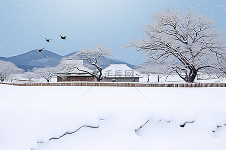 一座被雪覆盖的房子和一只飞翔的鸟