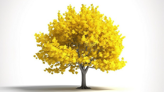 黄叶不断背景图片_3d 渲染中的孤立黄叶树