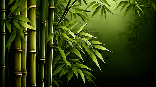 竹子夏季绿色背景