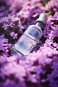 八月花信背景图片_一个空瓶子放在紫色的花上
