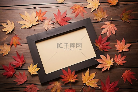 一个相框，展示一组枫叶和木地板上的叶子