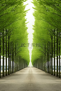 安静的街道背景图片_春天，一条安静的街道，两旁绿树成荫