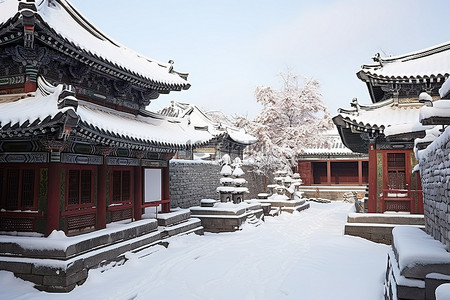 庭院庭院背景图片_一个小庭院，建筑物被雪覆盖，被雪覆盖