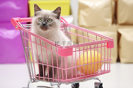 购物袋里的猫坐在购物车里