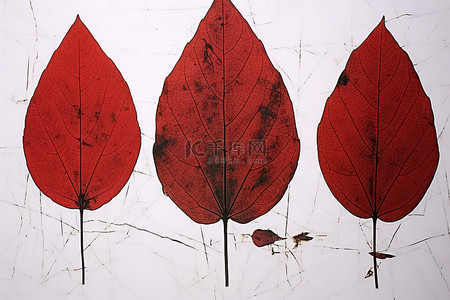 红色 ftp 树枝叶注射器中的 3 片叶子形状