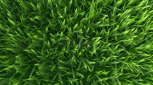 春季绿草背景图片_郁郁葱葱的草地，春季和夏季充满活力的绿草和自然纹理的 3D 渲染