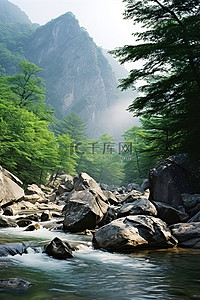 岩石和树木靠近流淌的河流