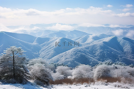 冬天雪景和人背景图片_上海雪覆盖的山树和覆盖的山