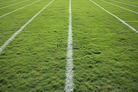空荡荡的足球场草地上的白线