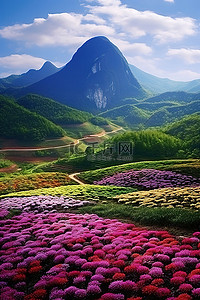 天空、紫色背景图片_两个开花的山峰，左上角有紫色的花朵