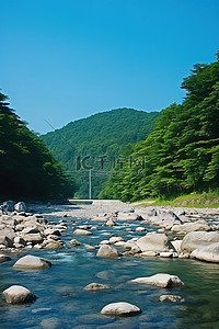 有河流的森林背景图片_山附近一条有岩石和树木的河流