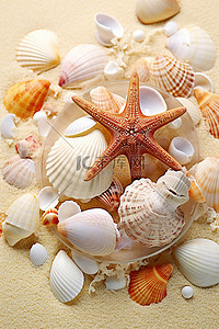 沙滩贝壳背景图片_沙滩上的贝壳海报打印