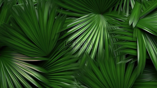 夏天大森林背景图片_3d 渲染中绿色棕榈植物的孤立背景