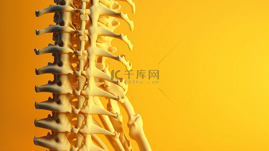 黄色背景下脊柱的生动 3D 图像