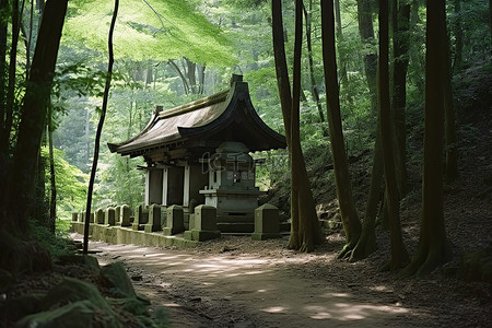 神社剪影背景图片_森林小路上的神社