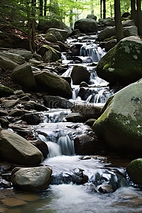 古诗瀑布背景图片_水流穿过岩石流入森林中的溪流