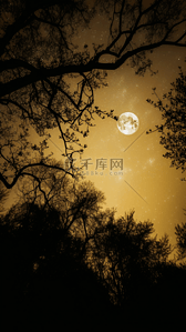 树影天空背景图片_月亮黄色自然背景