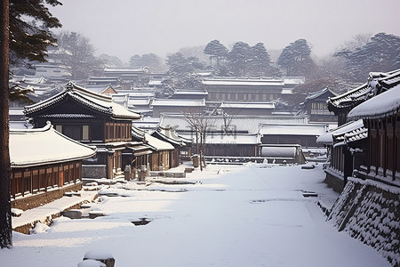 山清村 首尔 朝鲜 冬天 雪