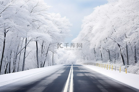 一条白雪皑皑的高速公路通向一片树木丛生的空地