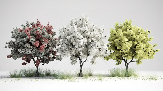 3d 中的花树在白色背景上渲染自然