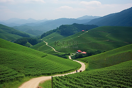 蜿蜒的背景图片_农业区的青山和蜿蜒的小土路